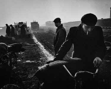 Έκθεση | Sir Don McCullin | Life, Death and Everything in Between | 28 Φεβρουαρίου - 12 Μαρτίου 2026